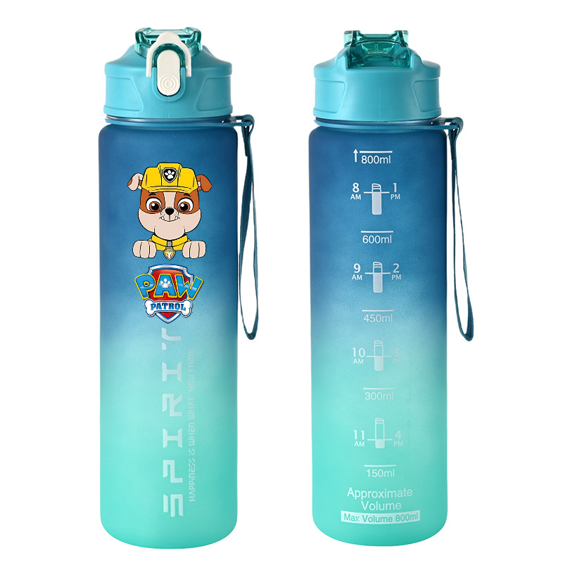 800ml PAW Patrol Sports Water  - Kids Outdoor Mud Kitchen Accessories review and price