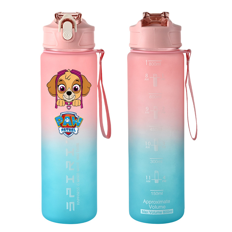 800ml PAW Patrol Sports Water  - Kids Outdoor Mud Kitchen Accessories review and price