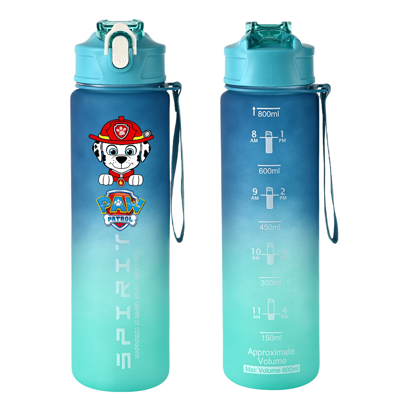 800ml PAW Patrol Sports Water  - Kids Outdoor Mud Kitchen Accessories review and price